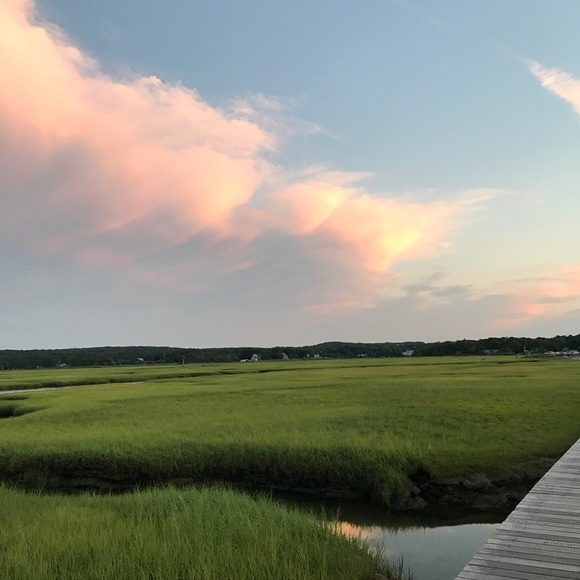 Meet your Posher, Lucy - Picture 1 of 1